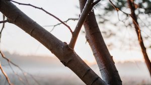 affirmations enhance relationship dynamics