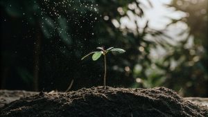 affirmations impact youth differently