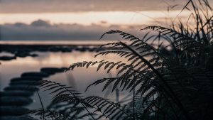 beliefs can relapse post therapy