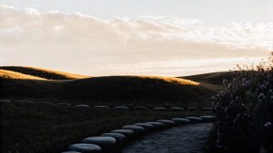 effective cognitive behavioral therapy