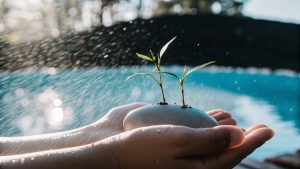 timeframe for emotional shifts